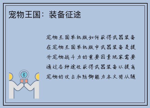 宠物王国：装备征途